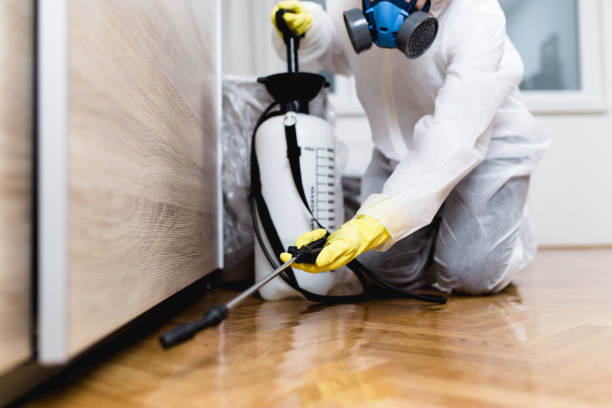 Professional Pest Control in Coyne Center, IL
