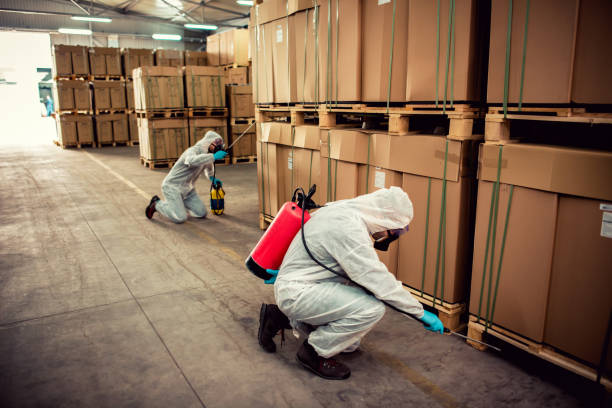 Best Best Pest Control Companies  in Coyne Center, IL