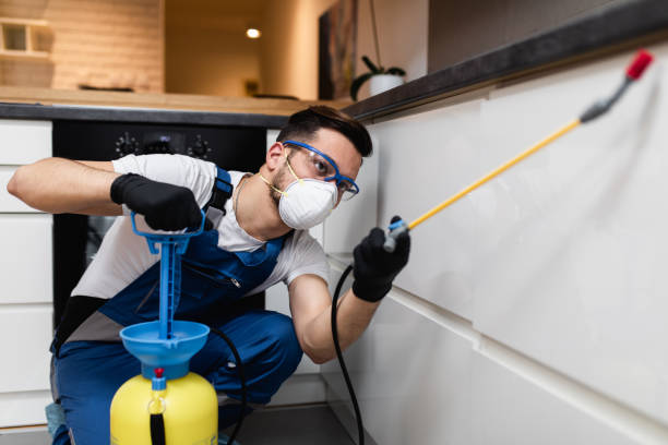 Best Pest Control Near Me  in Coyne Center, IL