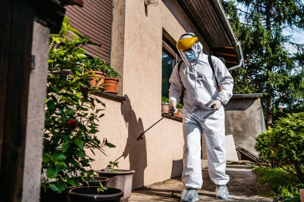 Best Pest Prevention Services  in Coyne Center, IL