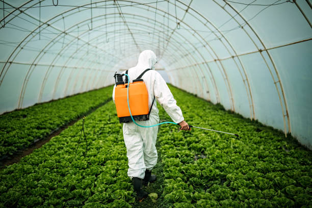 Best Emergency Pest Control  in Coyne Center, IL
