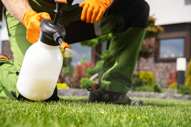 Best Pest Inspection Near Me  in Coyne Center, IL