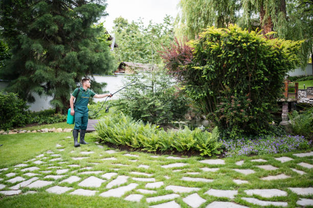 Best Mosquito Control Services  in Coyne Center, IL