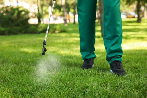 Flea Control Services in Coyne Center, IL