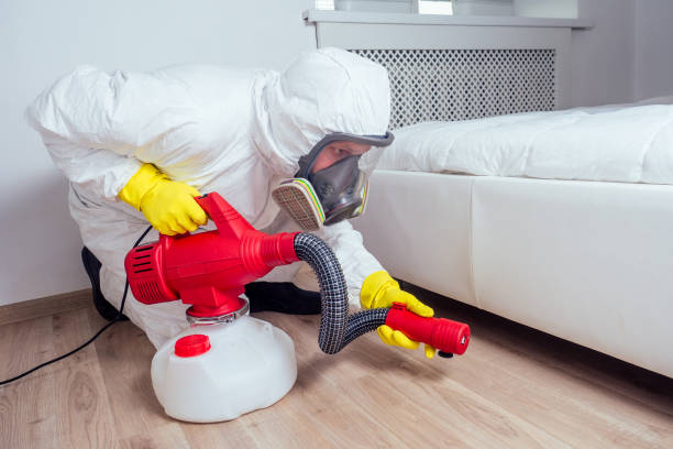 Best Flea Control Services  in Coyne Center, IL