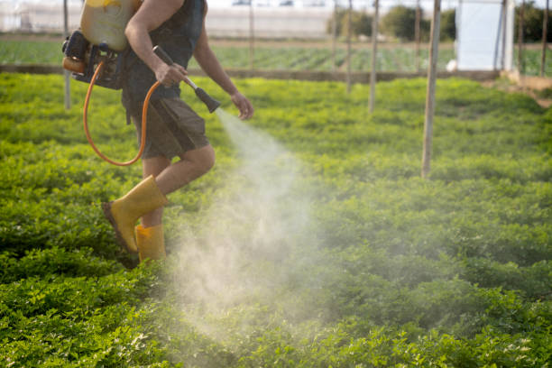 Best Pest Prevention Services  in Coyne Center, IL