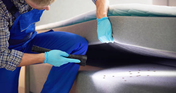 Best Affordable Pest Control Services  in Coyne Center, IL