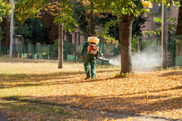 Best Pest Control Near Me  in Coyne Center, IL