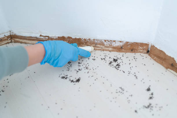 Best Pest Control Treatment  in Coyne Center, IL