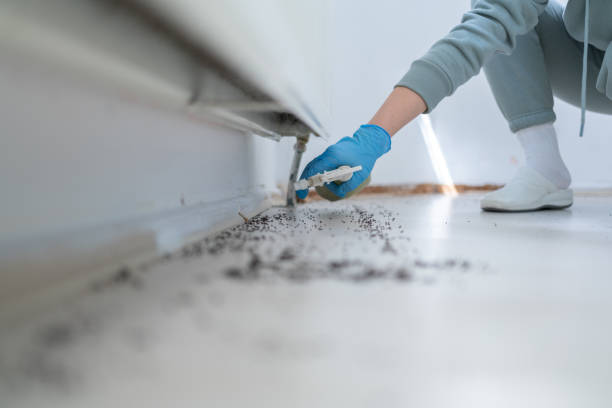 Best Residential Pest Control  in Coyne Center, IL