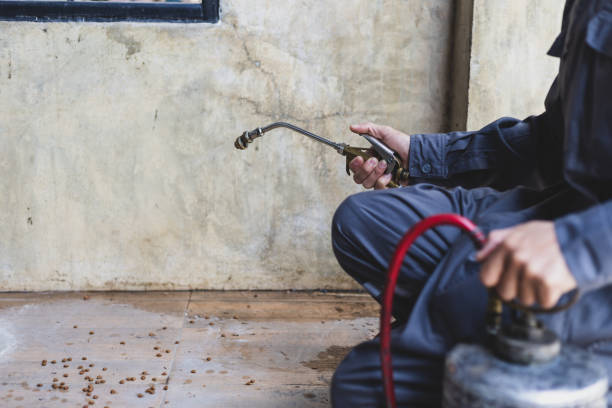 Best Mosquito Control Services  in Coyne Center, IL