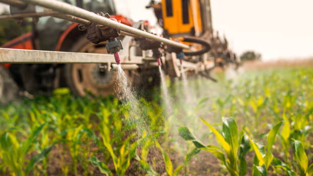 Best Ant Control Services  in Coyne Center, IL